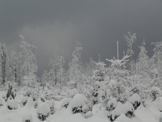 Winterlandschaft 2.jpg